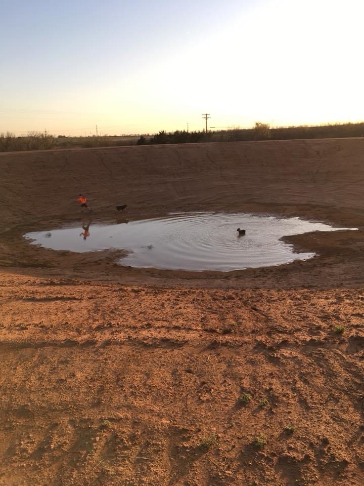 pond construction